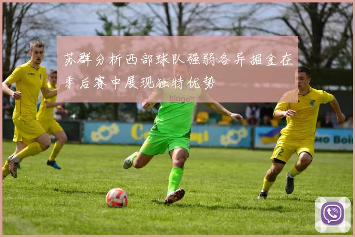 苏群分析西部球队强弱各异掘金在季后赛中展现独特优势