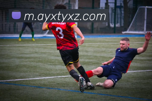 爱游戏体育下载APP 封面图